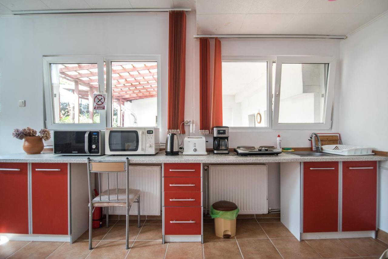 Transylvania Guest House Brasov Bagian luar foto